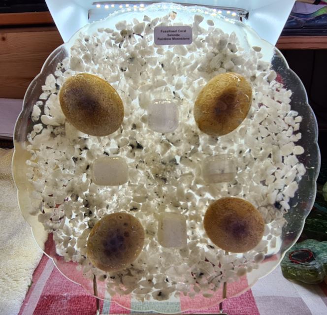 Resin Orgonite Charging Plates